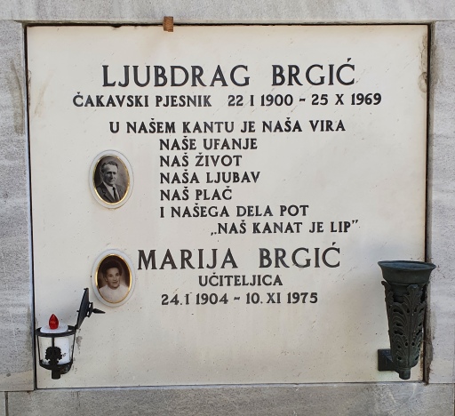 Ljubdrag Brgić