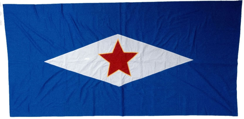 Zastava Jugolinije