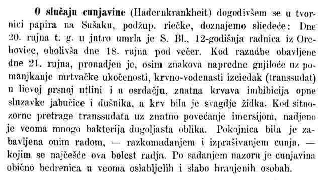 Liečnički viestnik-1885, o cunjavici